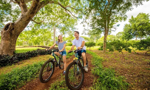 Hacienda Uxmal Plantation & Museum